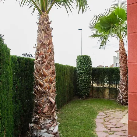 Altos De La Bahia X Torrevieja