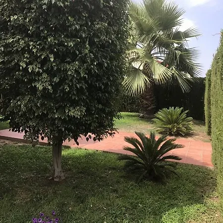 Altos De La Bahia X